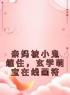 亲妈被小鬼缠住，玄学萌宝在线画符司司陆忆雪小说全文免费试读