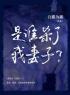 完美猎物：是谁杀了我妻子？全文在线阅读 张明徐颖小说全本无弹窗