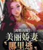 离婚高嫁：美丽娇妻哪里逃