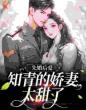 先婚后爱:知青的娇妻太甜了