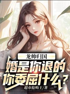 龙帅归国：婚是你退的，你委屈什么？by苏护萧红叶完整版 苏护萧红叶小说全集在线阅读