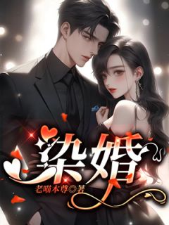 染婚全文免费试读(向宛清秦漠) 完结版