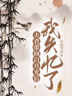 夫君带回白月光后，我失忆了裴辞慕清欢映月小说结局完整全文