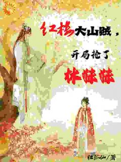 红楼大山贼，开局抢了林妹妹by李清风小艾完整版 李清风小艾小说全集在线阅读