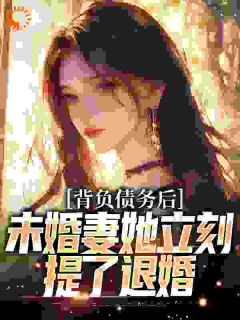 背负债务后，未婚妻她立刻提了退婚by苏航徐菲完整版 苏航徐菲小说全集在线阅读