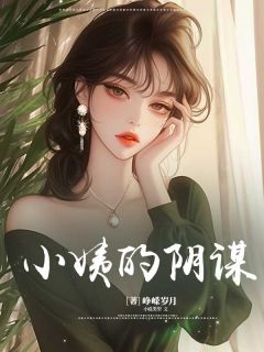 《小姨的阴谋》郭文洁郭文丽小说全本在线阅读