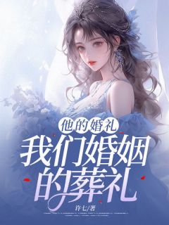 陈乐珊宋琛小说《他的婚礼，我们婚姻的葬礼》全文及大结局精彩试读