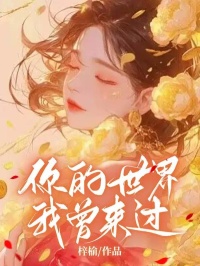 你的世界，我曾来过完整版 秦止棉陆少寻全章节阅读