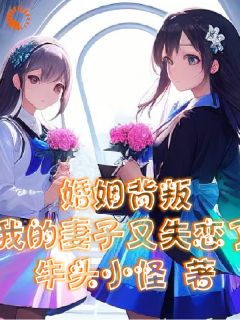 《婚姻背叛，我的妻子又失恋了》萧云飞苏梦琪小说全本在线阅读