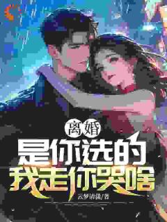 《离婚是你选的，我走你哭啥》叶尘韩小月小说全本在线阅读