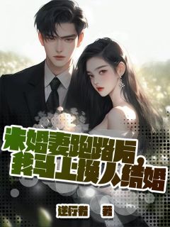 未婚妻跑路后，我马上换人结婚陈述江软小说全文阅读