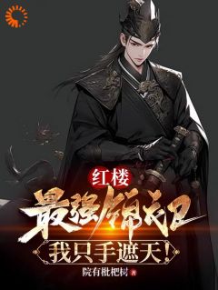 红楼：最强锦衣卫，我只手遮天！完整版 贾环王熙凤全章节阅读