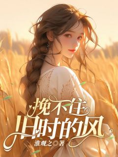 《挽不住旧时的风》小说完整版在线阅读（主角姜时夏陆景川）