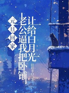 《元旦回家，老公逼我把卧铺让给白月光》林彦城苏婉仪小说全本在线阅读