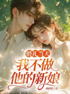 小说《婚礼当天，我不做他的新娘》盛纤纤叶南辰全文免费试读