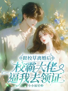 《跟校草离婚后，校霸大佬逼我去领证》小说全集免费在线阅读（黎烟周肆野）