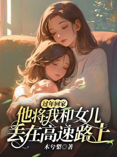 过年回家，他将我和女儿丢在高速路上免费试读(清梨厉单行唐怀宇小说全本资源) 无广告