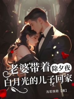 除夕夜，老婆带着白月光的儿子回家江枫苏柔小说结局完整全文