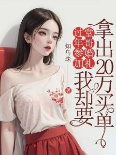 王灵灵小说大结局在线阅读 《过年参加堂哥婚礼，我却要拿出20万买单》小说免费试读