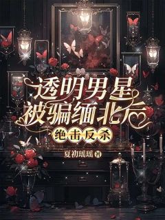 《透明男星被骗缅北后，绝击反杀》陈欣微李蕊小说精彩章节在线阅读