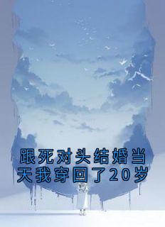 跟死对头结婚当天我穿回了20岁完整版全文阅读 叶槿栖秦纪野小说 大结局