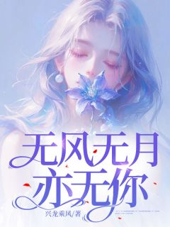 无风无月亦无你