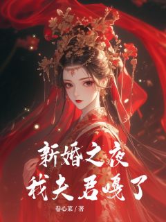 小说《新婚之夜我夫君嘎了》小草沈之意全文免费试读