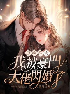 相亲当天，我被豪门大佬闪婚了完整版 苏小柒沈谨川全章节阅读