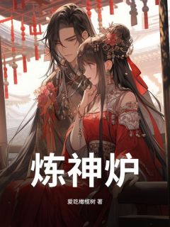 炼神炉(叶辰玲珑女帝)全文完结在线阅读完整版