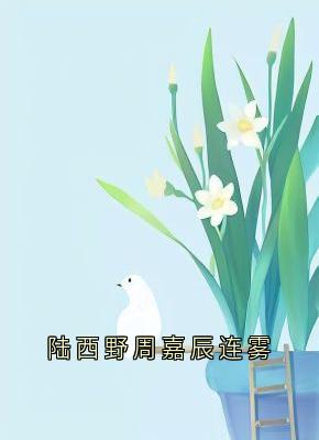 陆西野周嘉辰连雾完整小说目录在线阅读 (连雾陆西野) 大结局无弹窗