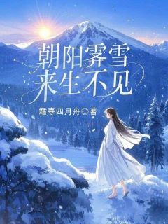 《朝阳霁雪，来生不见》小说全文精彩章节在线阅读（林阳慕雪）