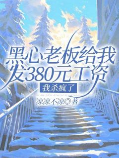 黑心老板给我发380元工资，我杀疯了全文在线阅读 陈晨老板小说全本无弹窗