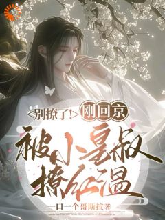 祈望贺景淮小说《别撩了！刚回京被小皇叔撩红温》全文及大结局精彩试读