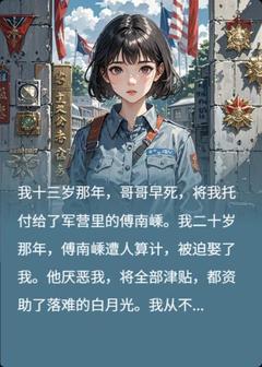 七九年，我独自南下去见军嫂唐禾傅南嵊小说全部章节目录