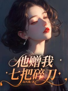 他赠我七把碎刀洛木蓝顾云辞小说阅读_他赠我七把碎刀文本在线阅读
