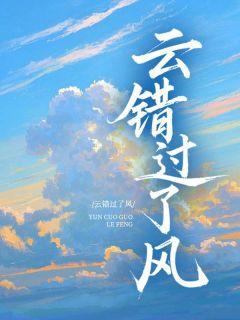 云错过了风小说完整版在线阅读（主角林清林墨）
