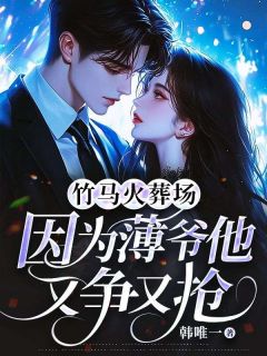 竹马火葬场，因为薄爷他又争又抢免费试读(林晚陆景川小说全本资源) 无广告