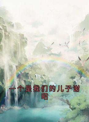 《一个是我们的儿子谢昭》小说完整版在线阅读（主角流萤谢长憬）