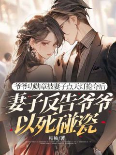 爷爷功勋章被妻子点天灯抢夺后，妻子反告爷爷以死碰瓷小说最新章节免费试读（完整版未删节）