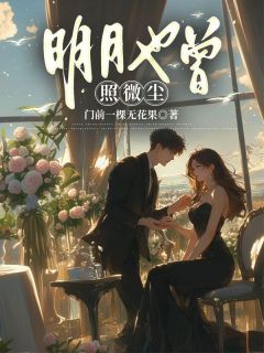 明月也曾照微尘完整版 秦蓁蓁宴淮全章节阅读