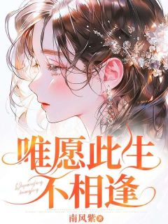 《唯愿此生不相逢》小说最新章节免费试读（完整版未删节）