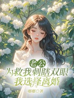 老公为救我刺瞎双眼，我选择离婚小说最新章节免费试读（完整版未删节）
