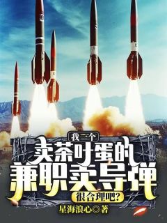我一个卖茶叶蛋的，兼职卖导弹，很合理吧？完整全文阅读 陈跃孔茂林小说结局无删节