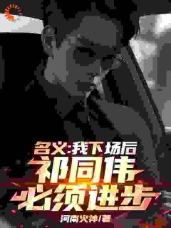 名义：我下场后，祁同伟必须进步完整版全文阅读 祁同伟穆辰小说 大结局