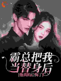 霸总把我当替身后，他真的后悔了by白筱帆盛延完整版 白筱帆盛延小说全集在线阅读