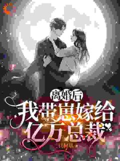 离婚带崽闪婚,老公竟是财阀大佬