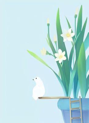 穿越女觊觎后位?我让她知道谁才是后宫主宰