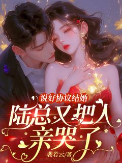 说好协议结婚,陆总又把人亲哭了