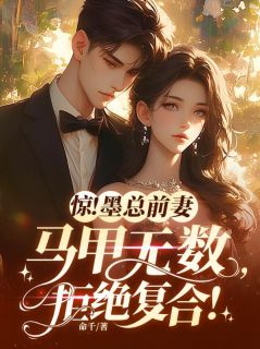 惊!墨总前妻马甲无数,拒绝复合!