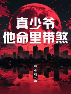 真少爷他命里带煞沈轩沈莲江风目录_真少爷他命里带煞小说阅读